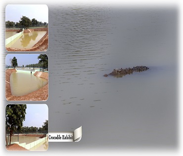 Nandanvan Jungle Safari Naya Raipur