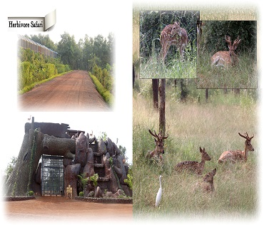 Nandanvan Jungle Safari Naya Raipur